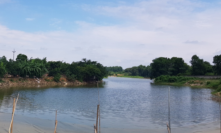 Thực tế, khu đất được giới thiệu dự án Golden Lake Hòa Lạc đang trồng cây, nuôi cá
