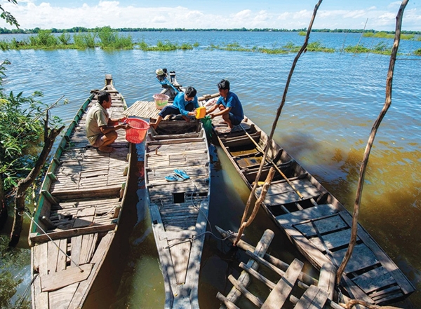 "Mùa lũ đẹp" ở Đồng bằng sông Cửu Long