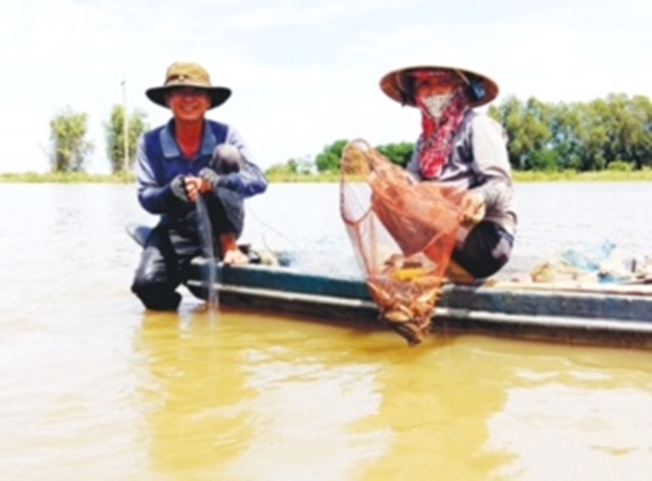 Anh Nguyễn Văn Cần, xã Phú Lộc, thị xã Tân Châu (An Giang) thả lưới bắt cá mùa nước nổi.