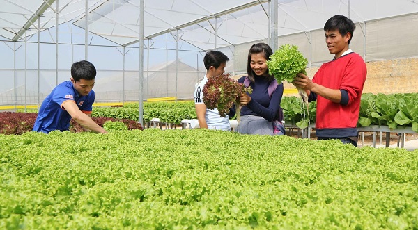 Nguồn vốn Agribank chiếm trên 50% thị phần tín dụng nông nghiệp, nông thôn tại Việt Nam