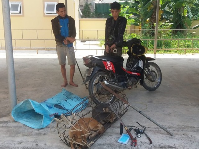 Nghệ An: Bắt giữ 2 'cẩu tặc' trang bị nhiều vũ khí nóng