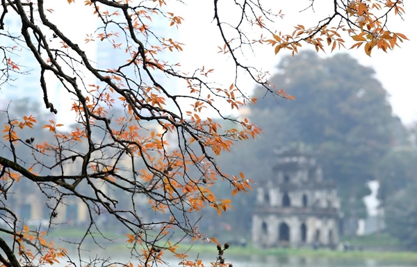 Dự báo thời tiết 2/10: Bắc Bộ sáng sớm có sương mù, ngày nắng