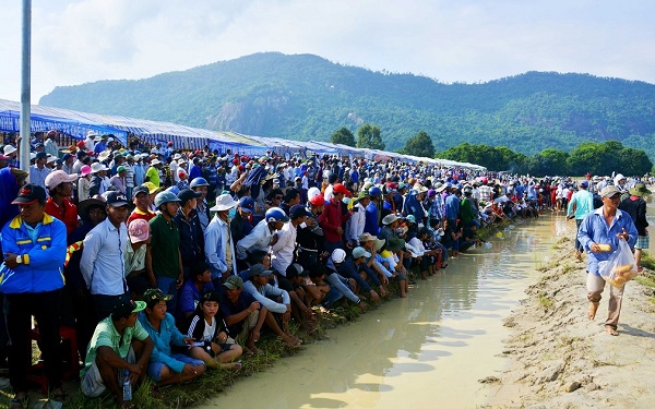 Hội đua bò Bảy Núi đã thu hút trên 30.000 lượt khán giả trong, ngoài tỉnh và cả các tỉnh của nước bạn Campuchia đến xem và cổ vũ cho các đôi bò thi đấu