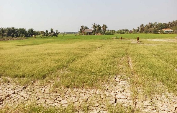 Tăng cường hỗ trợ vốn cho bà con nông thôn