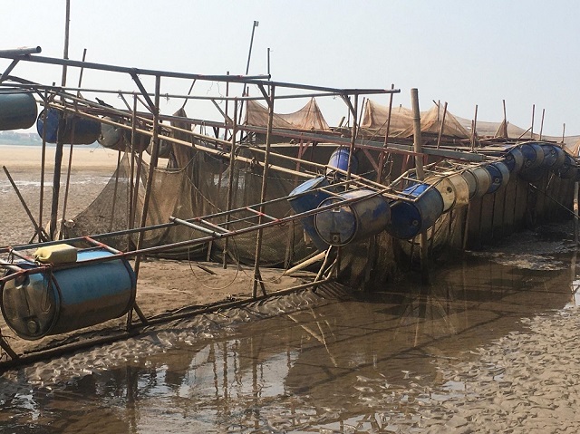 “Vị đắng” từ lồng cá nuôi trên dòng sông Đà