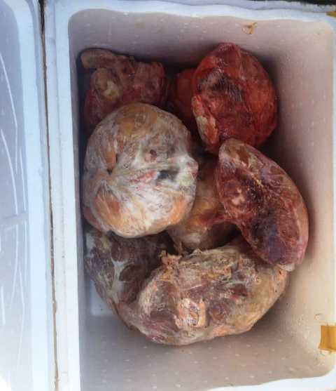 Thanh Hóa: Liên tiếp phát hiện nhiều vụ vận chuyển thực phẩm bẩn