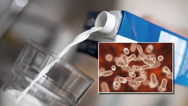 Thu hồi sữa tươi ít béo nhiễm khuẩn “ăn thịt người” trên toàn nước Đức