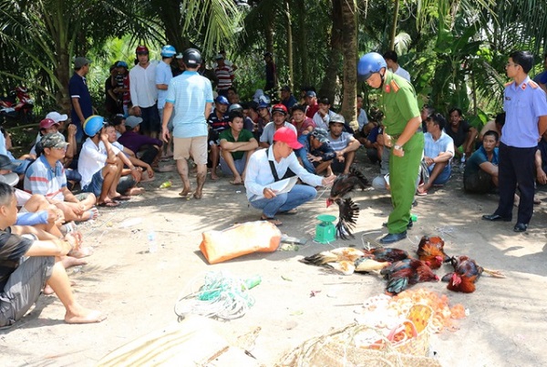 Hiện trường vụ đ&aacute; g&agrave;