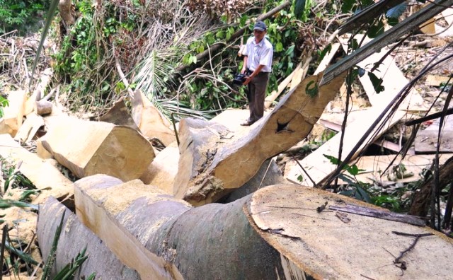 L&acirc;m tặc bỏ chạy