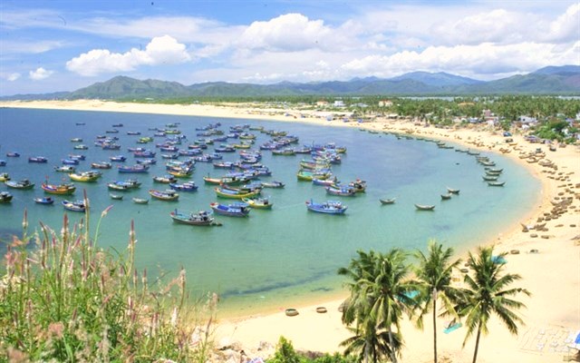 Bờ biển Quy Nhơn-