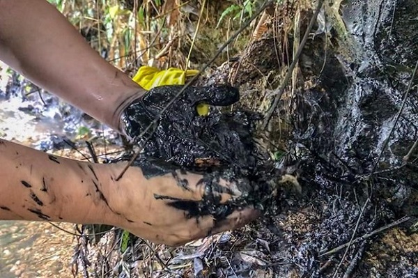 Luật sư Diệp Năng Bình: Có đủ cơ sở để yêu cầu Viwasupco bồi thường thiệt hại