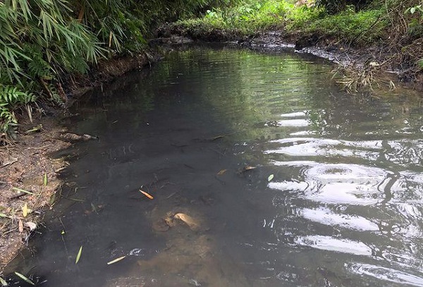Dầu thải gây đen ngòm nước đầu nguồn sông Đà dẫn đến ô nhiễm nặng.