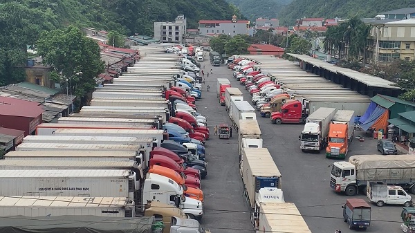 Ùn ứ nông sản xuất khẩu sang Trung Quốc: Doanh nghiệp cần lưu ý những gì?