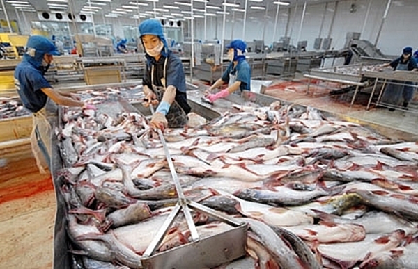 Mỹ giảm thuế chống bán phá giá với cá tra Việt Nam