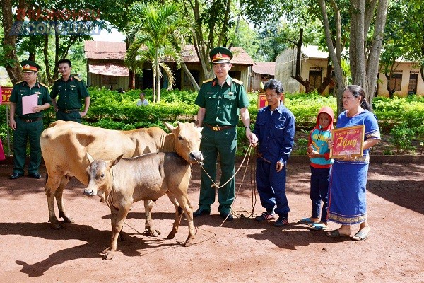 Đại diện Binh đoàn 15 trao bò sinh sản cho bà con dân tộc thiểu số ở huyện Ia Grai, Gia Lai