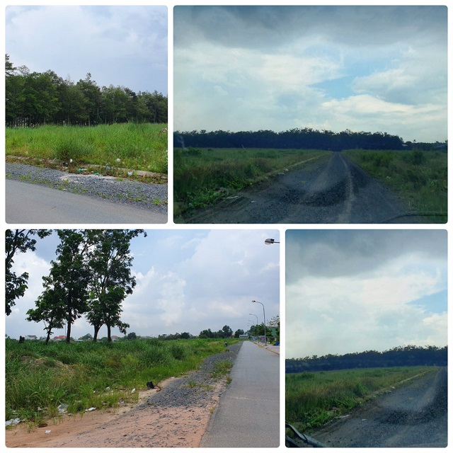 Hô biến 'của công thành của ông', đất rừng cao su đang bị thâu tóm? - Kỳ 5