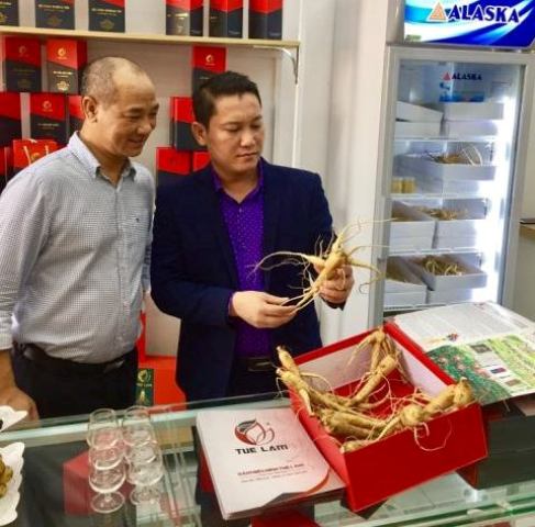 Quảng Bình: Thương hiệu “Sâm Bố Chính Tuệ Lâm” có mặt tại thị xã Ba Đồn