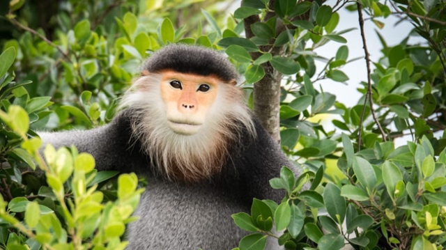 Khu bảo tồn thi&ecirc;n nhiu&ecirc;n