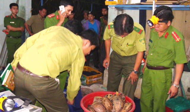 Quảng Nam: Triệt phá đường dây buôn bán, tàng trữ động vật hoang dã quý hiếm quy mô lớn