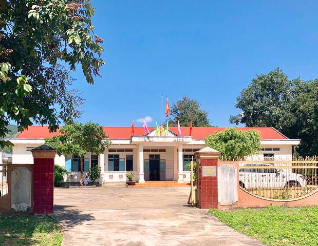 Gia Lai: Vụ phá rừng ở huyện Mang Yang, Hạt Kiểm lâm Mang Yang nói gì?