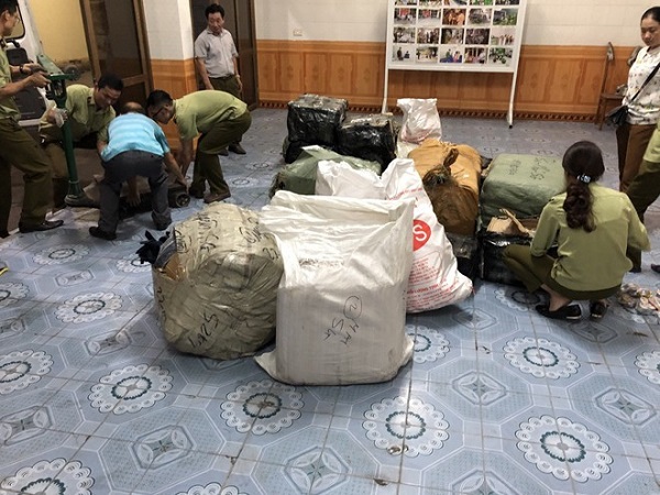 Quảng Ninh: Phát hiện 1 container hàng nhập lậu nhái thương hiệu Gucci, Nike