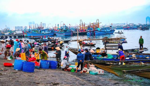 Đà Nẵng: Đầu tư 32 tỷ đồng nâng cấp Cảng cá Thọ Quang