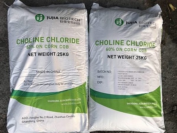 Sản phẩm phụ gia chăn nuôi Choline Chloride