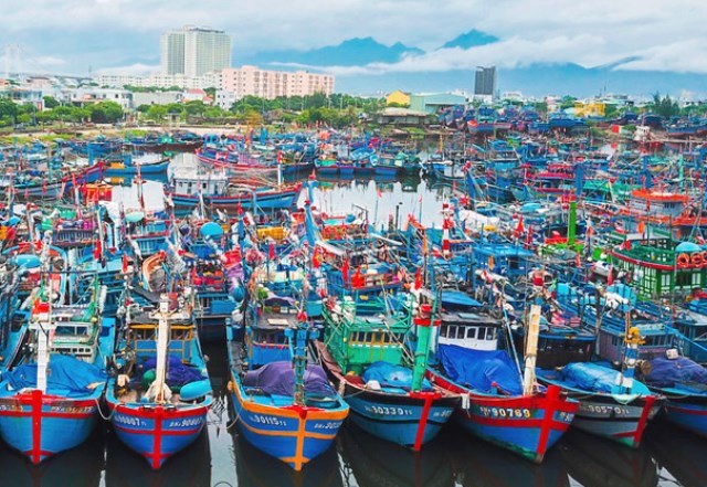 Đà Nẵng: Hàng ngàn tàu cá khẩn cấp về âu thuyền tránh bão