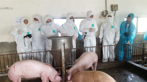Lãnh đạo Bộ NN&PTNT kiểm tra mô hình chăn nuôi lợn an toàn sinh học