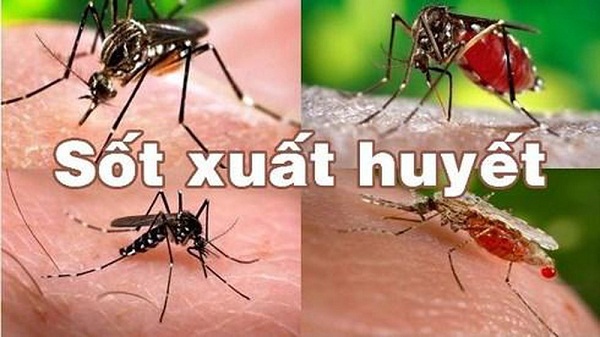 Dịch sốt xuất huyết sắp vào chu kỳ đỉnh điểm