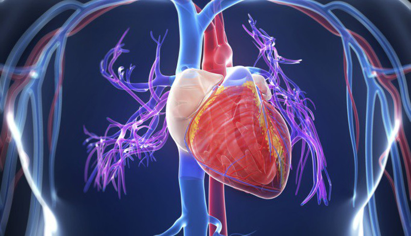 Bộ Y tế khẳng định: Chưa ghi nhận chủng vi rút “mới, lạ” gây viêm cơ tim như đồn thổi