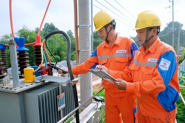Công nhân ngành điện lực cải tạo, nâng cấp lưới điện