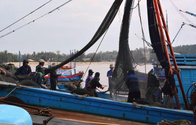 Quảng Ngãi: Còn 418 tàu, hơn 5.000 lao động đang trên biển