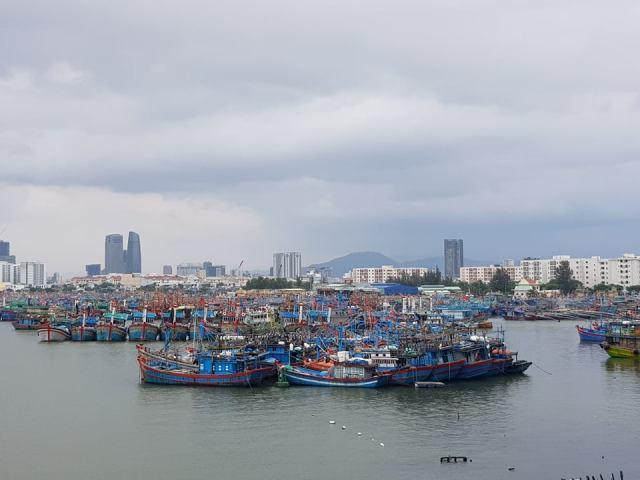 c&aacute;c t&agrave;u thuyền v&agrave;o tr&aacute;nh b&atilde;o