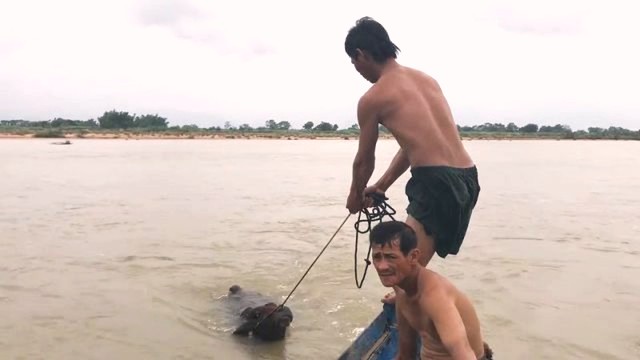 c&aacute;c hộ d&acirc;n dim dời