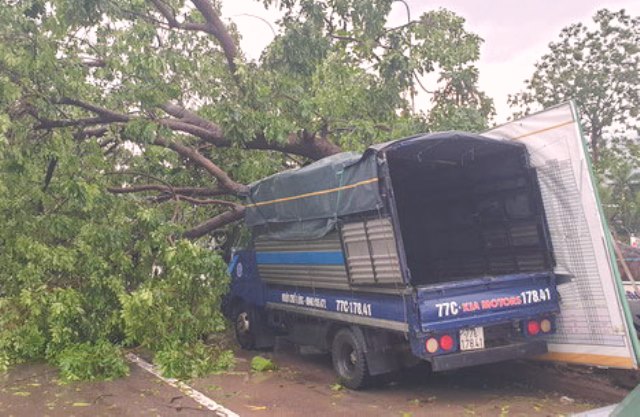 Bình Định: Bão số 5 gây thiệt hại cho TP Quy Nhơn