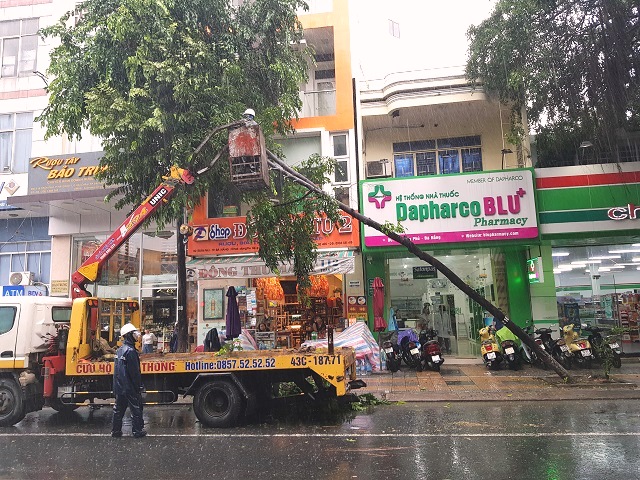 Đà Nẵng: Cây xanh ngã đổ ngổn ngang sau ảnh hưởng bão số 5