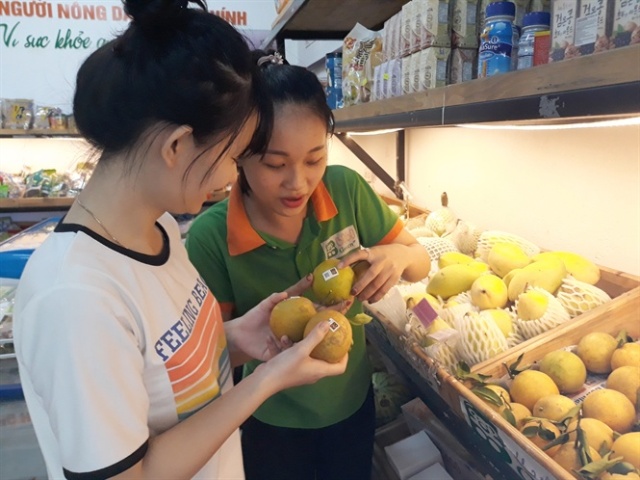 Nghệ An hỗ trợ xây dựng mẫu mã sản phẩm, tem truy xuất nguồn gốc