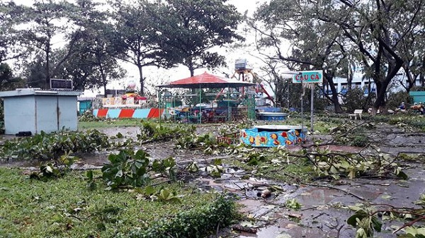 bão số 5 đổ bộ vào các tỉnh Bình Định, Phú Yên, Quảng Ngãi… Cây xanh, cột điện đổ ngổn ngang khắp nơi; có nơi nước lên nhanh gây chia cắt giao thông.