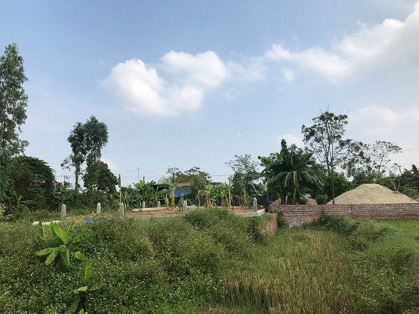 Cho thuê đất công Cho thuê đất công