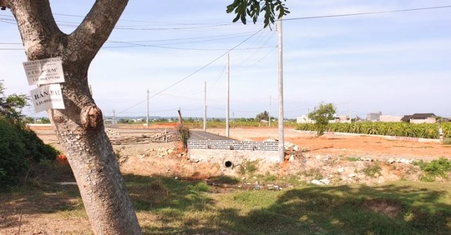 C&aacute;c dự &aacute;n ở