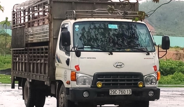 CSGT Đà Nẵng: Bắt giữ xe tải chở động vật cố tình vượt trạm kiểm dịch