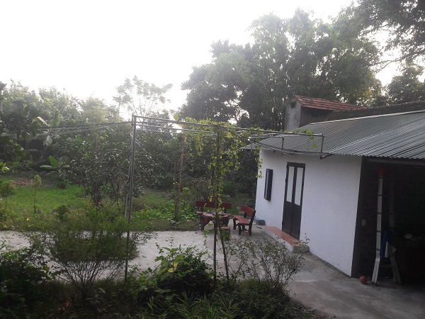 Xâm phạm khu di tích quốc gia đặc biệt: Sai phạm từ buông lỏng quản lý?