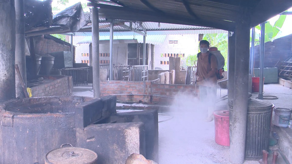 Khánh Hòa: Bùng phát dịch tả heo châu từ 2 tháng trở lại đây