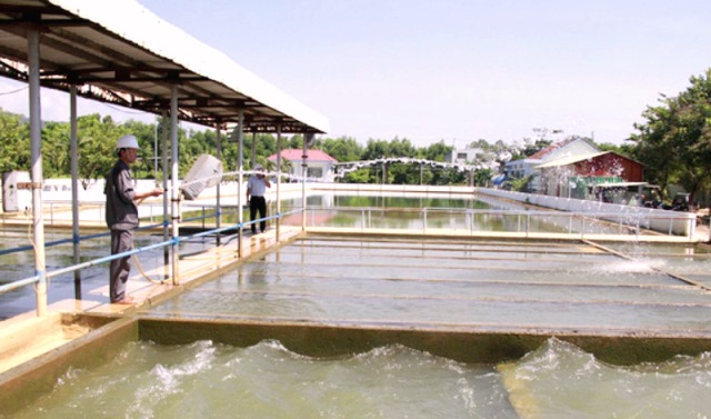 Đà Nẵng: Yêu cầu báo cáo gói thầu Nhà máy nước Hòa Liên sau lùm xùm về đấu thầu