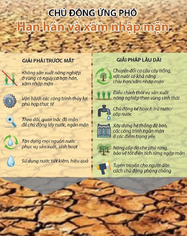 Chủ động ứng phó với hạn hán nghiêm trọng trong mùa khô 2019 - 2020