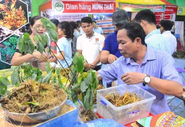 Chợ S&acirc;m Ngọc Linh