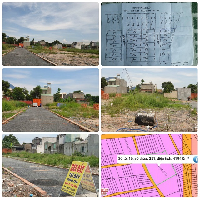 Trảng Dài (Biên Hòa - Đồng Nai): Chính quyền đang tiếp tay cho đầu nậu “xẻ thịt đất rừng”?