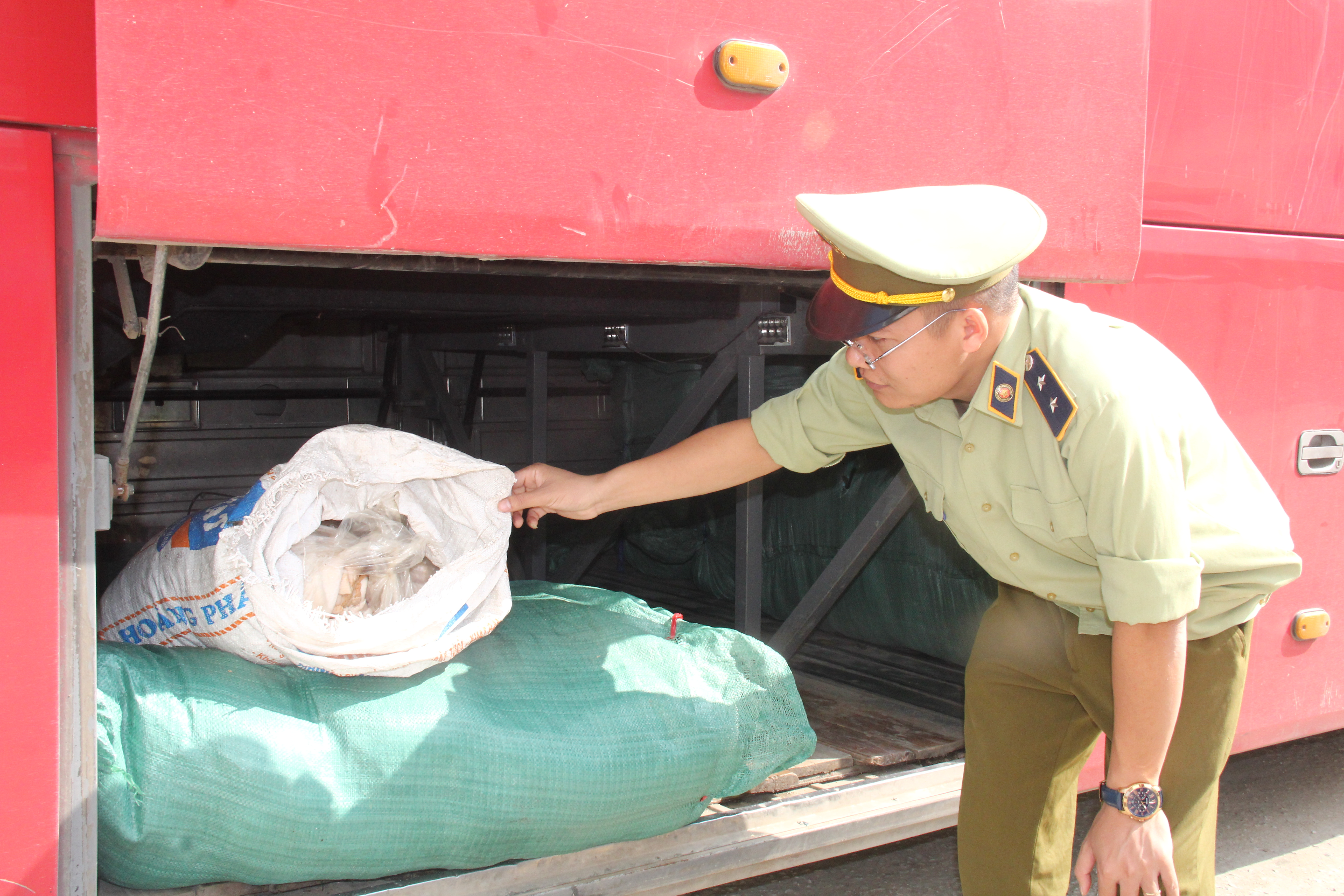 Thanh Hóa: Tiêu hủy 200 kg bì lợn không rõ nguồn gốc xuất xứ