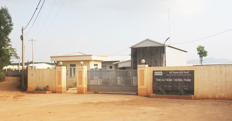 Công ty gia cầm Hòa Phát Phú Thọ bị phạt hơn 400 triệu đồng